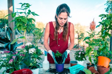 Kırmızı elbiseli ve eldivenli genç Latin kadın ahşap bir masanın üzerinde saksılar ve bitkilerle çevrili.