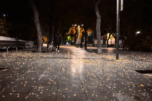 Man Die Nachts Zijn Hond Uitlaat Een Donkere Straat Het — Stockfoto