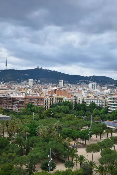 Parque Lleno Plantas Árboles Centro Ciudad Barcelona Fotografiado Desde Arriba — Foto de Stock