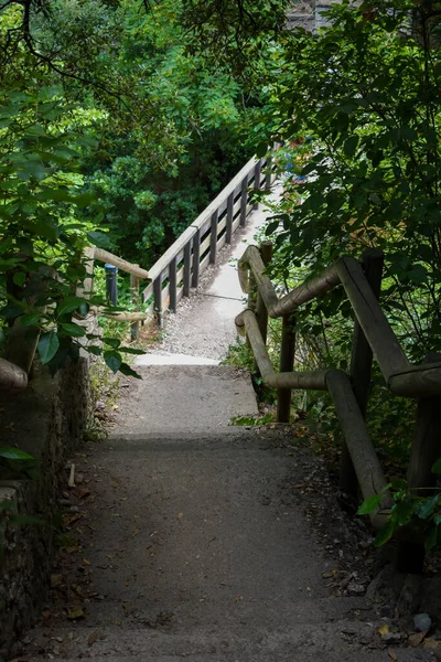 Mały Pusty Drewniany Most Położony Środku Natury Zielonymi Drzewami Liściastymi — Zdjęcie stockowe