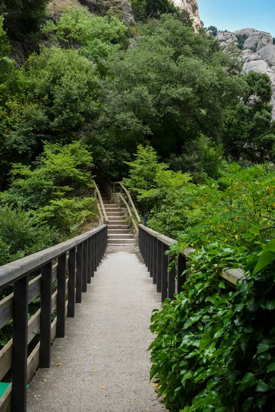 Mały Pusty Drewniany Most Położony Środku Natury Zielonymi Drzewami Liściastymi — Zdjęcie stockowe