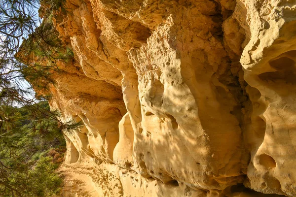 Bir kayanın güzel bir fotoğrafı, Waikiki plajı, İspanya