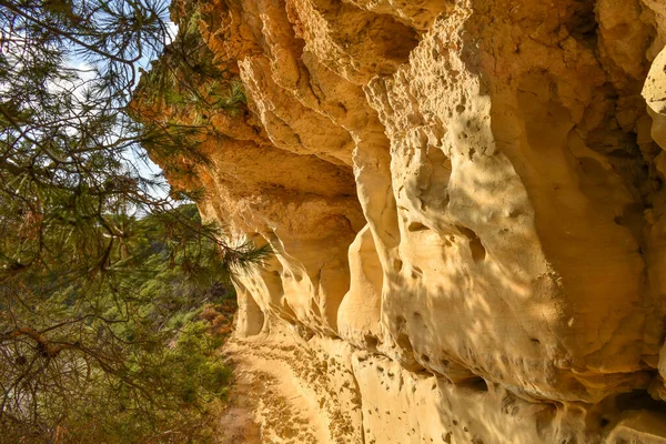 Bir kayanın güzel bir fotoğrafı, Waikiki plajı, İspanya