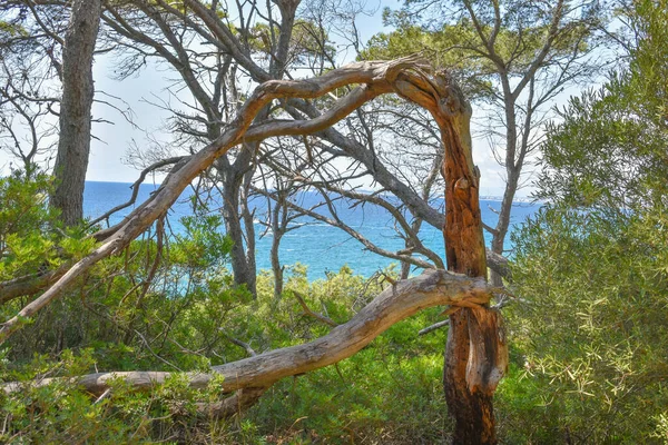 Ουράνιο Τοπίο Στην Παραλία Του Waikiki Ισπανία — Φωτογραφία Αρχείου
