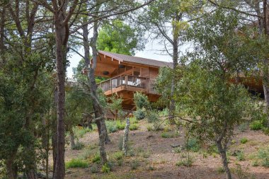 Ağaçların ve doğanın arasındaki ahşap ev..