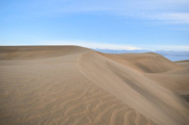 Kum tepecikleri çöldeki kum tepecikleri manzarasında insanlar olmadan. İnsansız çöl.