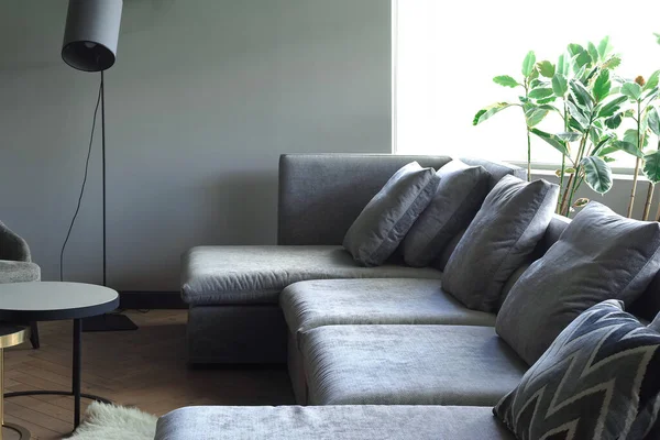 Cushioned furniture. Sofa by the window with floor lamp and home plants.