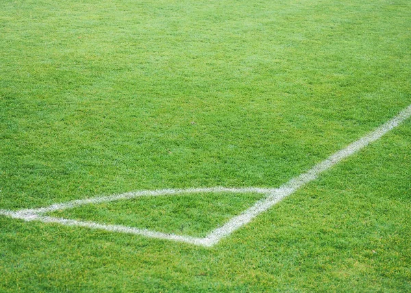 football pitch on the field with white lines. Green grass on the football field