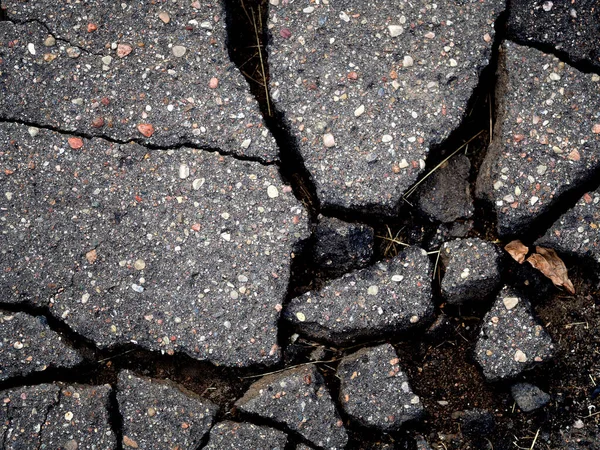 cracked  road in the city