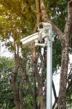 Parktaki CCTV
