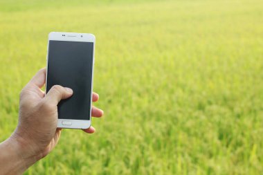 Cep telefonu alanında.