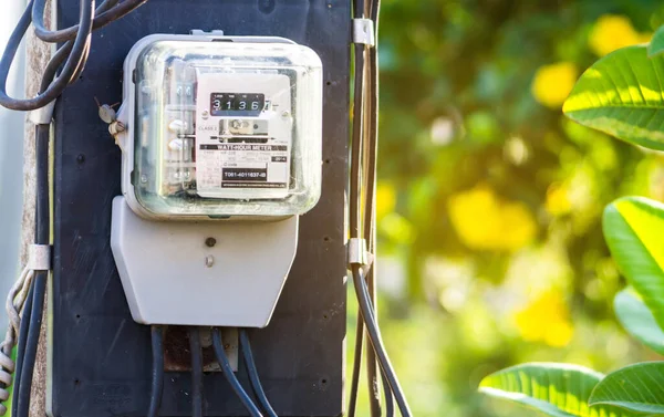 Ağaçların bulanık arkaplanındaki elektrik sayacı ev elektrik kullanımını belirtmek için kullanılır.