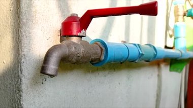 Dairenin musluğunun sonundaki su borusundan damlatın.