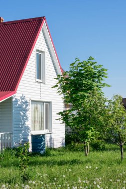 Tarz, büyük yeşil çimenli beyaz ev, açık hava.