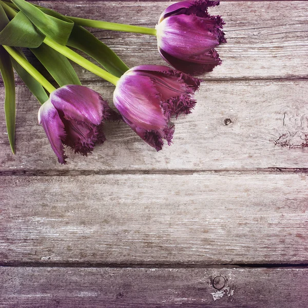 Fioletowe Tulipany Bukiet Tle Drewna Stodoły Przestrzeń Dla Tekstu — Zdjęcie stockowe