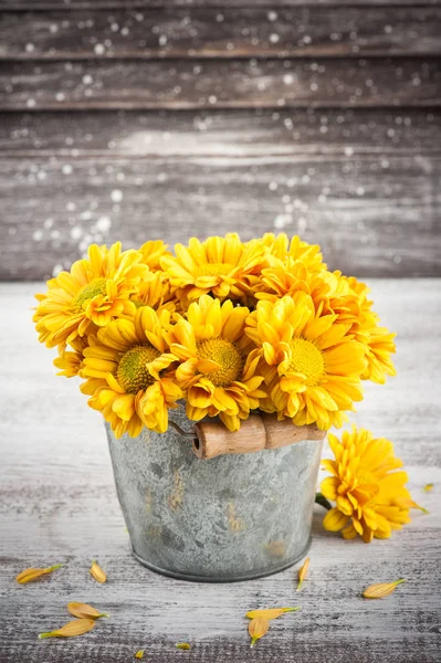 Primer Plano Crisantemo Amarillo Dorado Maceta Estaño Sobre Fondo Madera — Foto de Stock