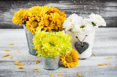 Krizantem ahşap arka plan üzerinde teneke tencere