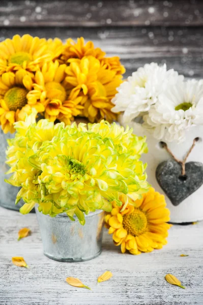 Chrysanthème Dans Des Pots Étain Sur Fond Bois — Photo