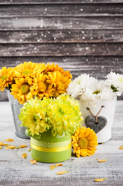 Chrysant Tin Potten Houten Achtergrond — Stockfoto