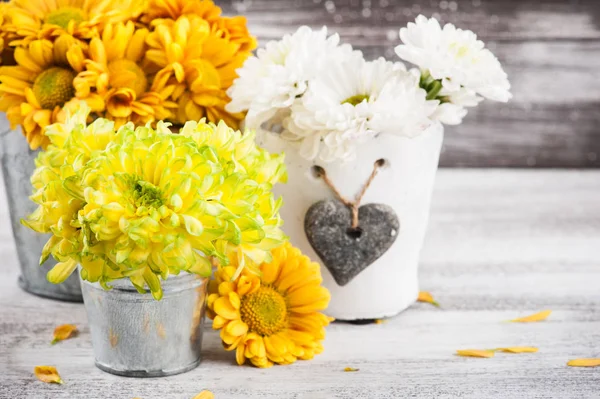 Chrysanthème Dans Des Pots Étain Sur Fond Bois — Photo