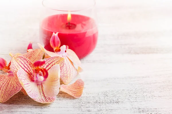Spa Nature Morte Avec Orchidée Rouge Orange Bougie Allumée Sur — Photo