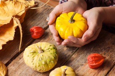 Kabak ile DIY kompozisyon