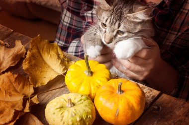 Kabak ile DIY kompozisyon