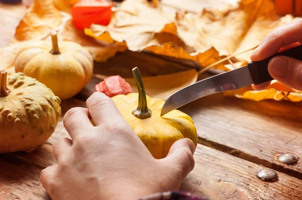 Diy Zusammensetzung mit Kürbissen — Stockfoto