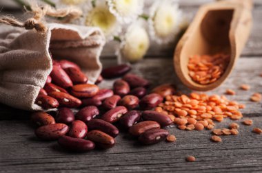 Barbunya fasulyesi ve kırmızı mercimek