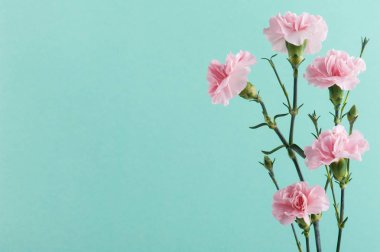 naneli yeşil zemin üzerine pembe karanfil