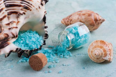 Spa Ürünleri deniz kabukları ve tuz