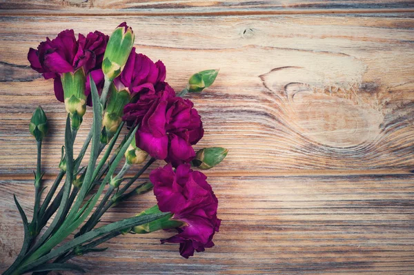 Kilka goździków fioletowy — Zdjęcie stockowe
