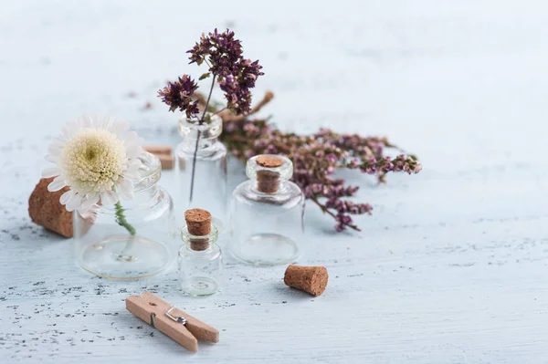 Trockene Kräuter, Blumen in kleinen Flaschen — Stockfoto