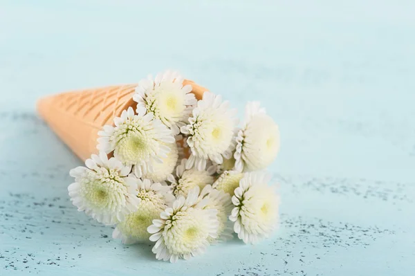 flowers in ice cream cone on blue