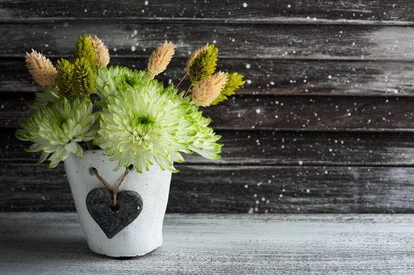 Groene chrysant in klei pot — Stockfoto