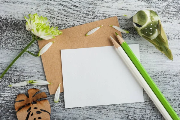 緑色の菊とノート — ストック写真