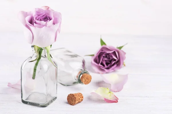 Рожева троянда в пляшці — стокове фото
