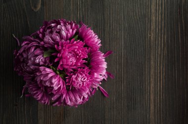 Mor krizantem masada