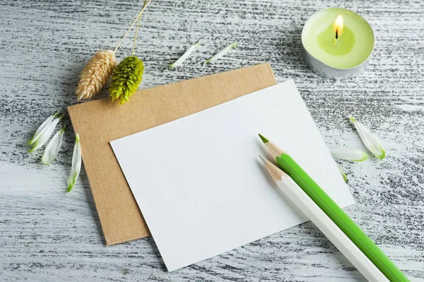 緑色の菊とノート — ストック写真