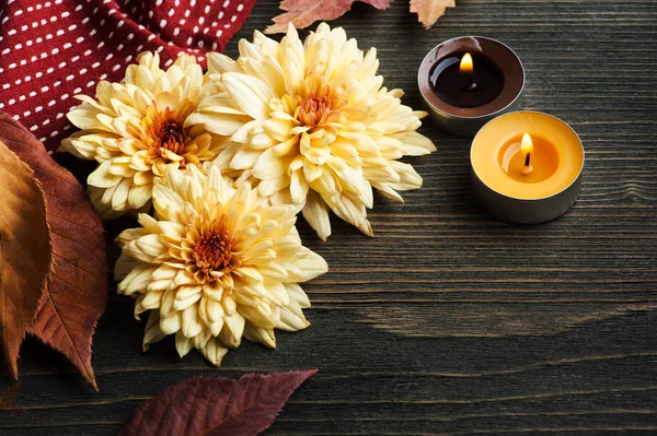 Gelbe Chrysantheme auf dunklem Holz — Stockfoto