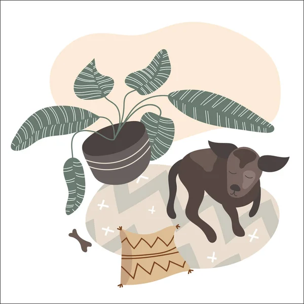Plante Maison Pot Chien — Image vectorielle