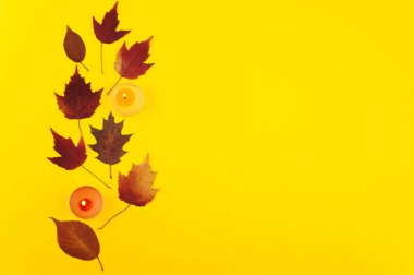 Sarı zemin üzerinde çok renkli akçaağaç ve meşe yaprakları olan çerçeve düz. Turuncu ve kırmızı mumlu renkli sonbahar seti