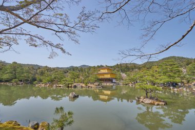 Cherry Blossom Osaka City, Japonya ile güzel Osaka Kalesi. (İnsanlar için Bulanıklaştırma aracını kullanın)