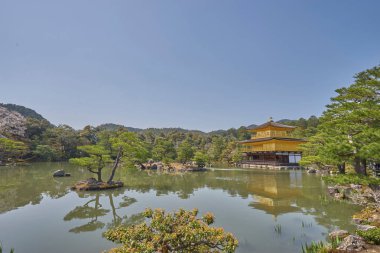 Cherry Blossom Osaka City, Japonya ile güzel Osaka Kalesi. (İnsanlar için Bulanıklaştırma aracını kullanın)