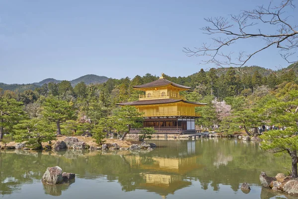 Bellissimo Castello Osaka Con Fiori Ciliegio Nella Città Osaka Giappone — Foto Stock