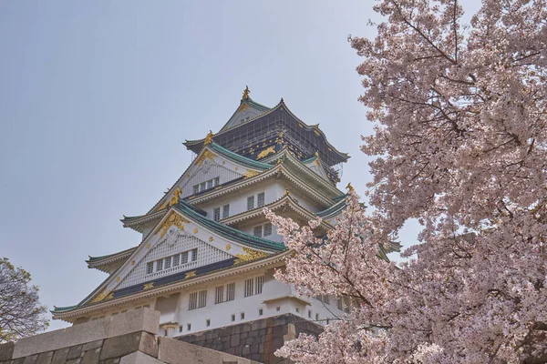 Bellissimo Castello Osaka Con Fiori Ciliegio Nella Città Osaka Giappone — Foto Stock