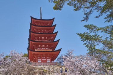 Bir güzel doğal Senjokaku ve beş katlı pagoda Miyajima Island, Hiroshima, Japonya