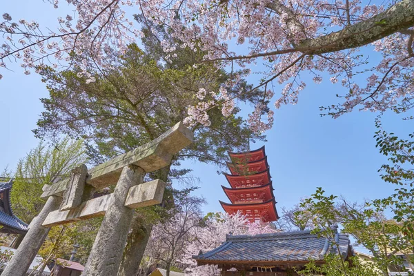 Splendido Scenario Senjokaku Pagoda Cinque Piani Nell Isola Miyajima Hiroshima — Foto Stock