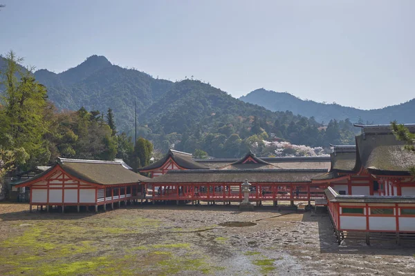 Itsukushima Tapınak Miyajima Adası Hiroşima Japonya Nın Güzel Doğal Manzaralı — Stok fotoğraf