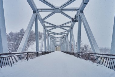 Güzel manzara mavi nehir köprüsü yakınındaki Shirahige şelaleler Biei şehir, Hokkaido, Japonya.